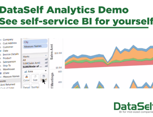 DataSelf Analytics Demo See self-service BI for yourself