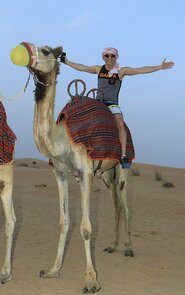 Dubai Camel