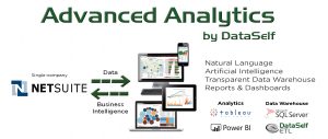 netsuite BI and analytics