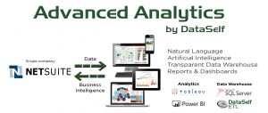 netsuite BI and analytics