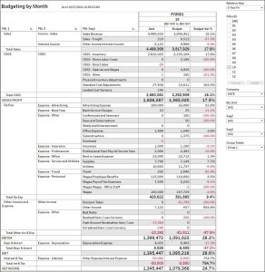 Budgeting dashboard