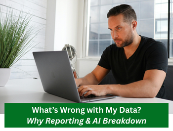 What's Wrong with My Data? Why Reporting and AI Break Down